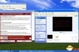 xp123国产,国产品牌的创新力量与市场影响力